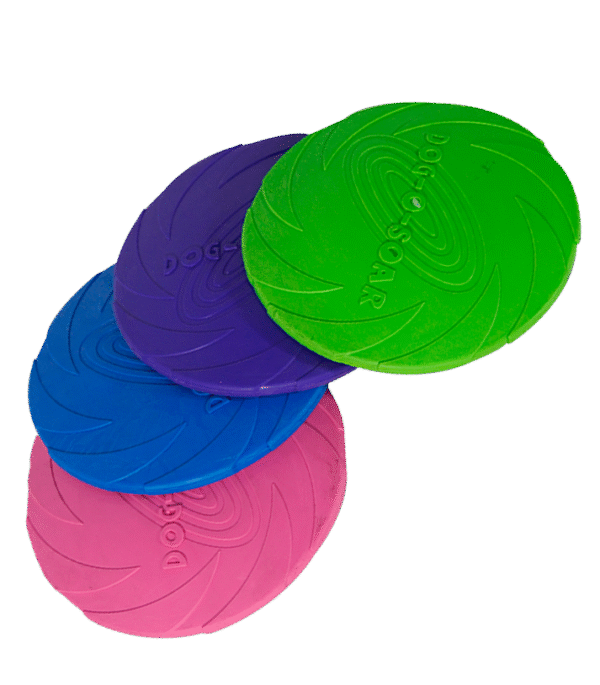 FRISBEE DE GOMA - Imagen 2